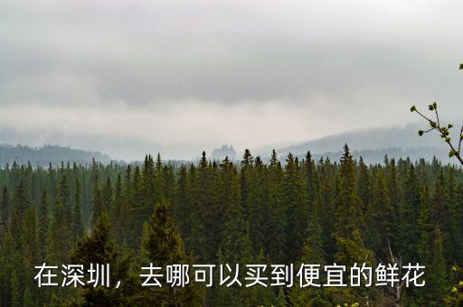 在深圳，去哪可以買到便宜的鮮花