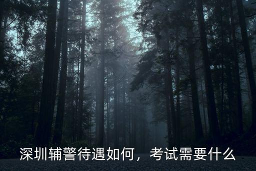 深圳輔警報名表忘記怎么辦,深圳輔警待遇如何