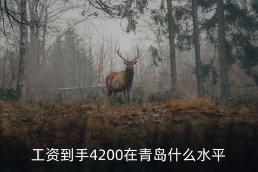 青島4000工資是多少,生活在青島月收入多少沒壓力