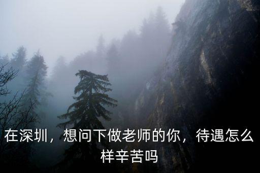 深圳巨邦待遇怎么樣,請(qǐng)問(wèn)大神深圳教師待遇如何