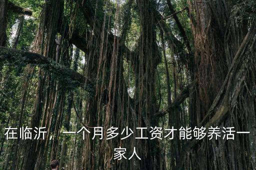 在臨沂，一個(gè)月多少工資才能夠養(yǎng)活一家人