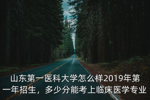 2019年濰坊醫學院多少分能錄取,山東濰坊醫學院怎么樣