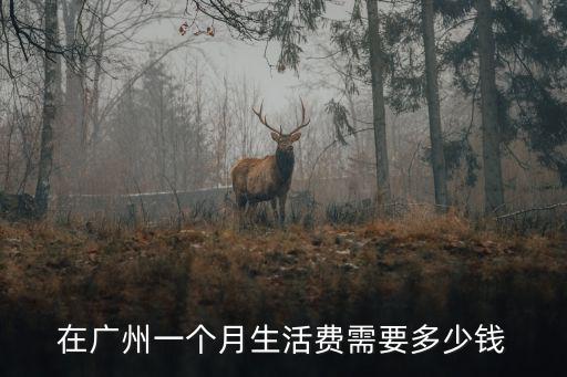 在廣州一個(gè)月生活費(fèi)需要多少錢