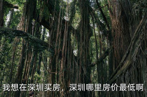 深圳寰圖怎么樣,我想在深圳買房