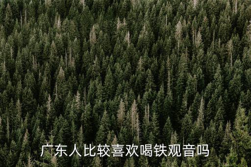 廣東人比較喜歡喝鐵觀音嗎