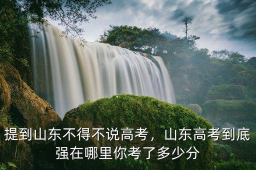 2019年山東高考分數最高分是多少,2019年高考多少分能上