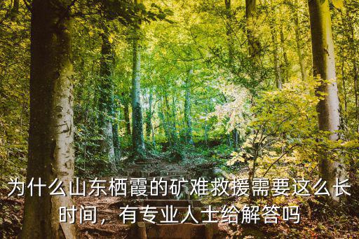 為什么山東棲霞的礦難救援需要這么長(zhǎng)時(shí)間，有專(zhuān)業(yè)人士給解答嗎