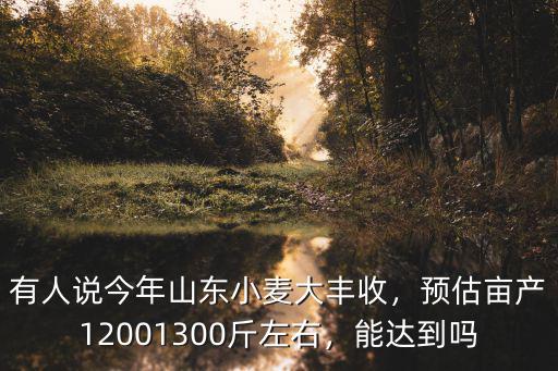 有人說今年山東小麥大豐收，預(yù)估畝產(chǎn)12001300斤左右，能達(dá)到嗎
