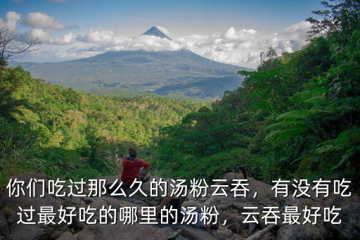 廣州餛燉哪里的好吃,廣州哪家餛飩面最好吃