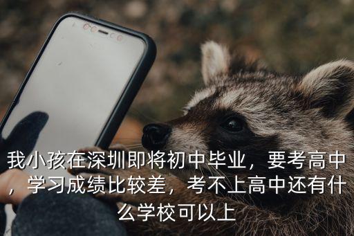 我小孩在深圳即將初中畢業，要考高中，學習成績比較差，考不上高中還有什么學?？梢陨? class=