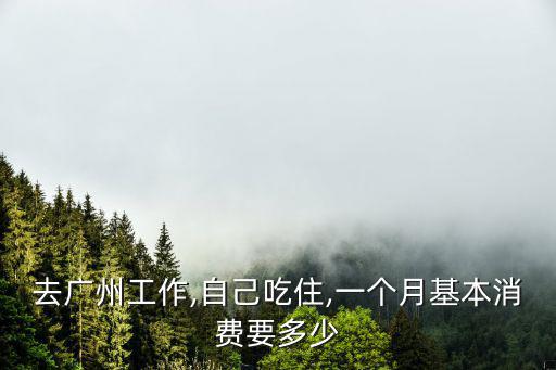 廣州一個月消費要多少錢,你一個月花多少錢夠用