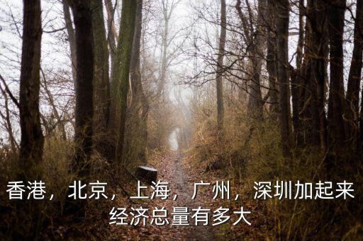 香港，北京，上海，廣州，深圳加起來(lái)經(jīng)濟(jì)總量有多大