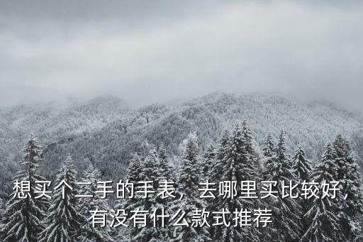 廣州哪里可以買到二手表,想買個二手的手表