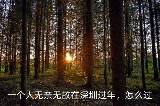 一個人無親無故在深圳過年，怎么過