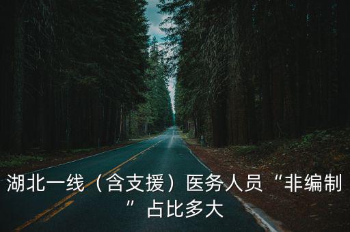 湖北一線（含支援）醫務人員“非編制”占比多大