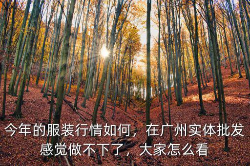 廣州的衣服真不怎么樣,廣州十三行的衣服怎么樣