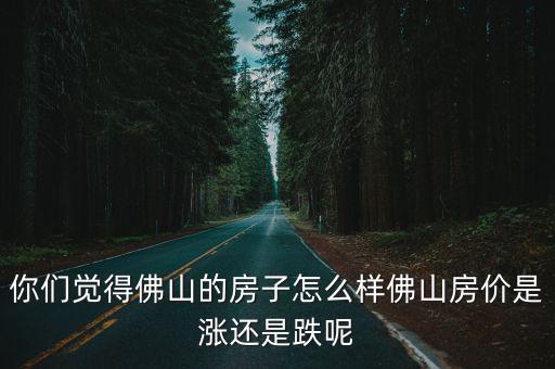 佛山時星怎么樣,佛山這幾年的就業前景怎么樣