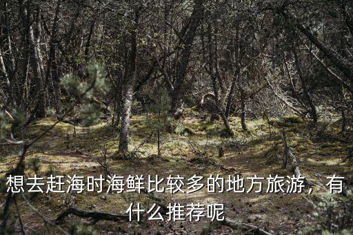 汕頭哪里有可以釣魷魚的地方,有什么推薦呢