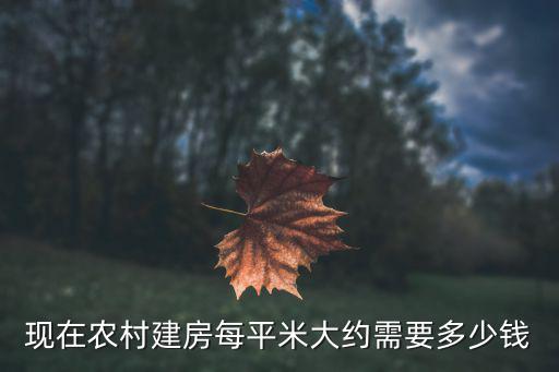 山東樂陵現在農村建房大概需要多少錢,百多平方大概需要多少資金