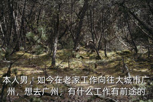 本人男，如今在老家工作向往大城市廣州，想去廣州，有什么工作有前途的