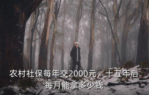農(nóng)村社保每年交2000元，十五年后每月能拿多少錢