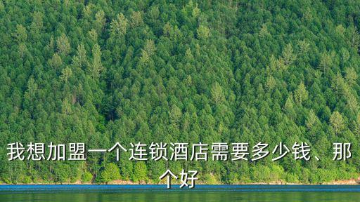 我想加盟一個連鎖酒店需要多少錢、那個好