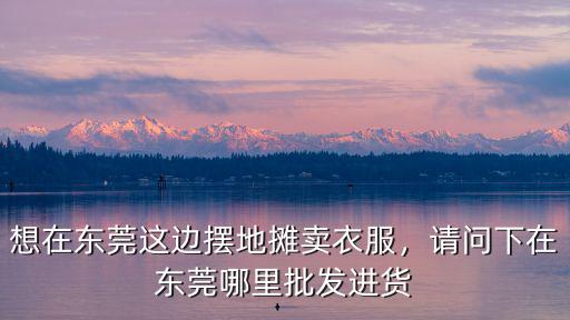 想賣東莞哪里賣好,想在東莞這邊擺地?cái)傎u衣服
