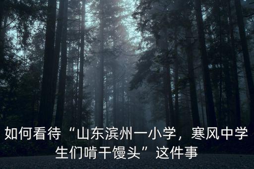 如何看待“山東濱州一小學(xué)，寒風(fēng)中學(xué)生們啃干饅頭”這件事