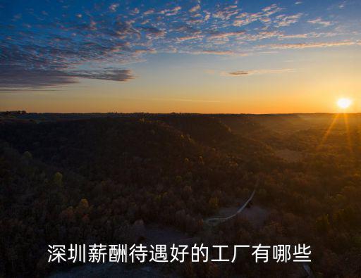 深圳薪酬待遇好的工廠有哪些