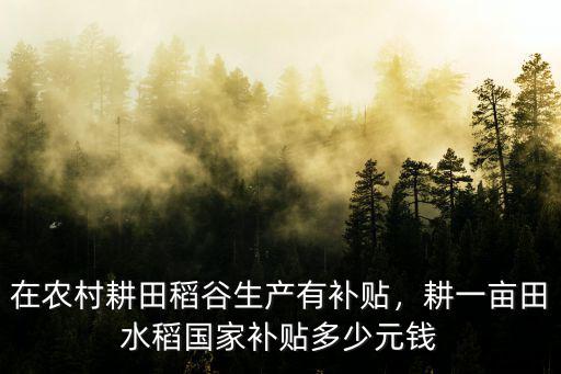 廣東省水稻補(bǔ)貼每畝補(bǔ)多少,在農(nóng)村耕田稻谷生產(chǎn)有補(bǔ)貼