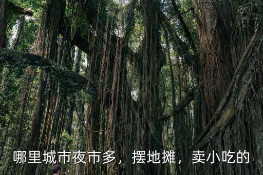 哪里城市夜市多，擺地?cái)偅u小吃的