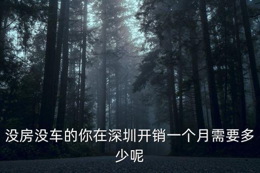 在深圳一個(gè)月花多少,一個(gè)月能給她花多少錢(qián)