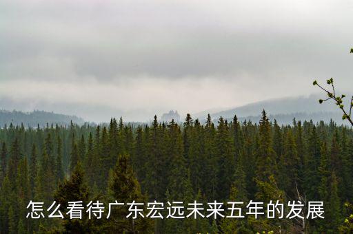 怎么看待廣東宏遠未來五年的發展
