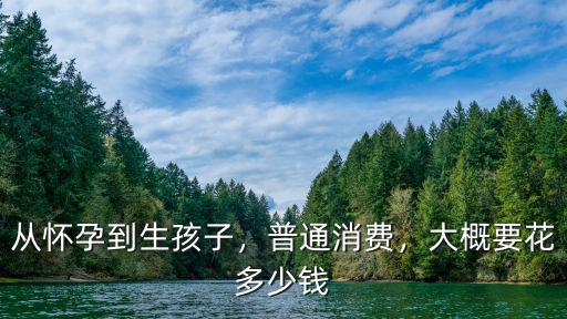 從懷孕到生孩子，普通消費，大概要花多少錢