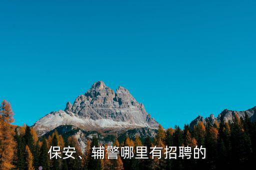 陽江市哪里有招聘保安,輔警哪里有招聘的