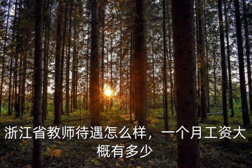 浙江省月工資是多少,浙江省教師待遇怎么樣