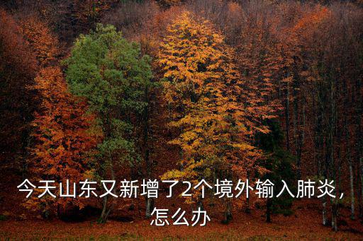 今天山東又新增了2個境外輸入肺炎，怎么辦