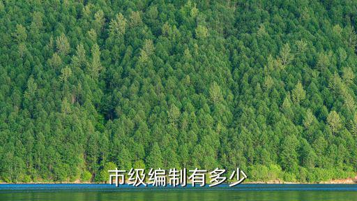 市級編制有多少