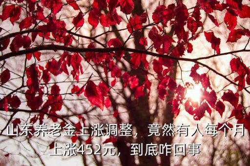 德州市養(yǎng)老金調(diào)整大概是多少,自己全額交德州市的養(yǎng)老保險(xiǎn)