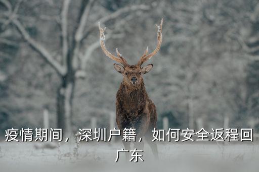 疫情期間，深圳戶籍，如何安全返程回廣東