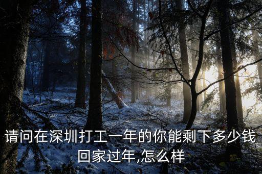 請問在深圳打工一年的你能剩下多少錢回家過年,怎么樣