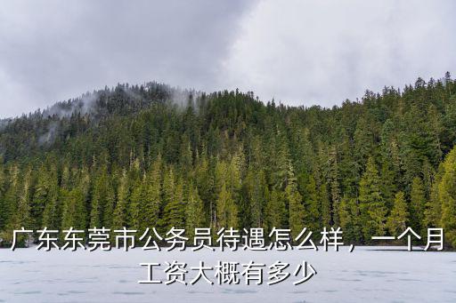 東莞事業編待遇怎么樣,廣東省公務員待遇怎么樣