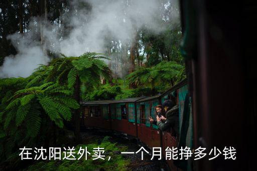 寧波外賣能掙多少錢,外賣哥一個(gè)月掙多少錢
