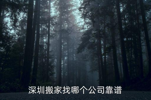 深圳拉貨公司有多少家,在深圳租車拉貨怎么樣