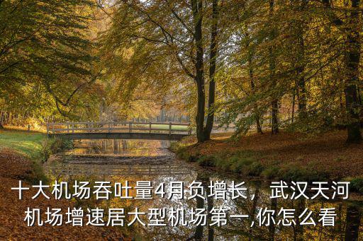 寧波機場吞吐量年增長了多少,國內年吞吐量最高的四大機場