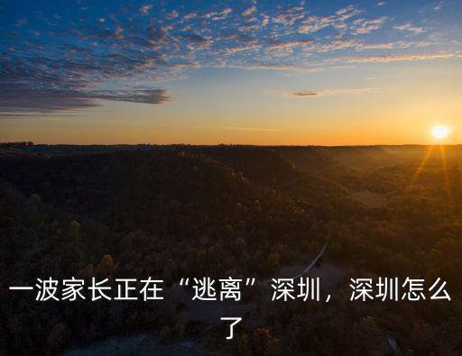 一波家長正在“逃離”深圳，深圳怎么了