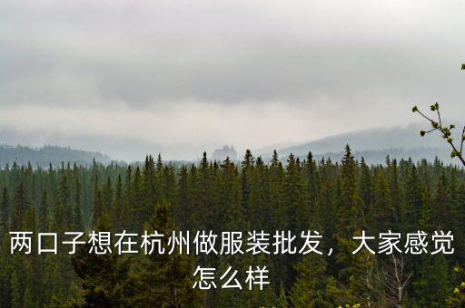 兩口子想在杭州做服裝批發，大家感覺怎么樣