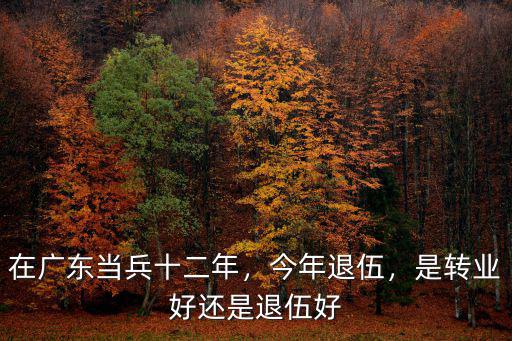 廣東當兵多少年可以轉業,在廣東當兵十二年