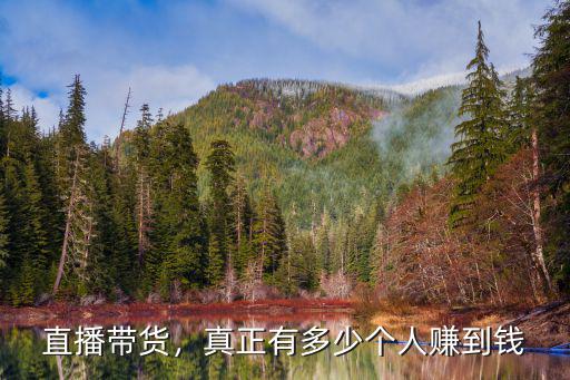 汕頭直播賣貨多少錢,今天一場直播能賺多少錢