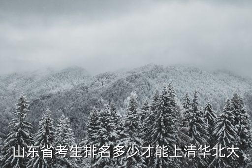 山東省考生排名多少才能上清華北大